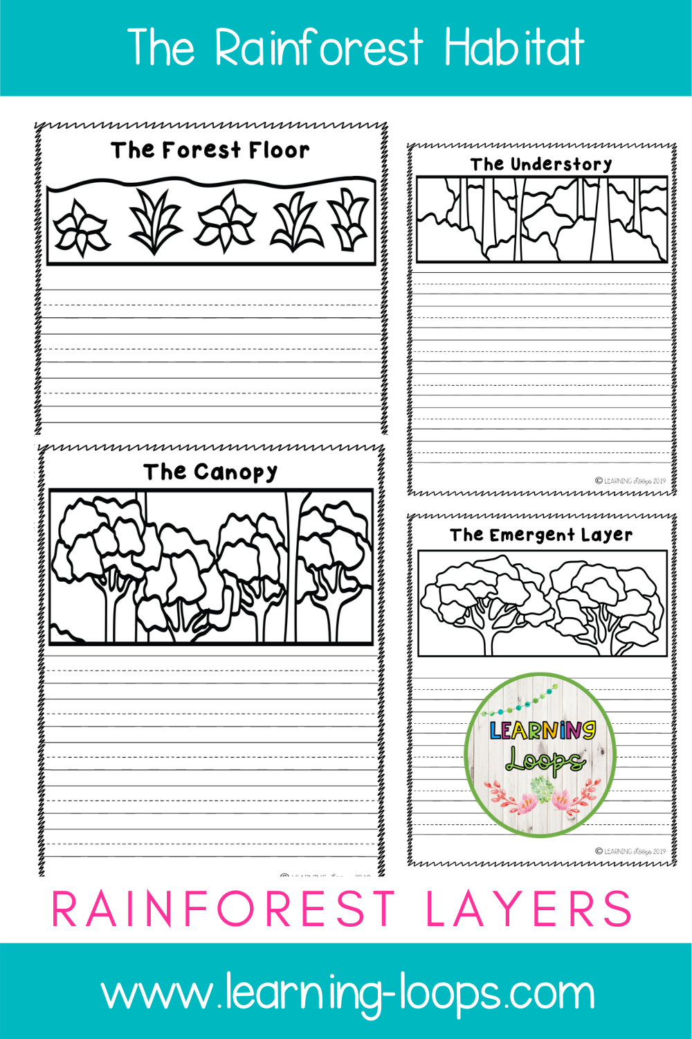 primary homework help rainforest layers