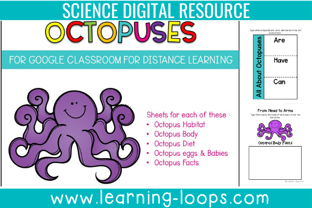 All about octopuses digital resource
