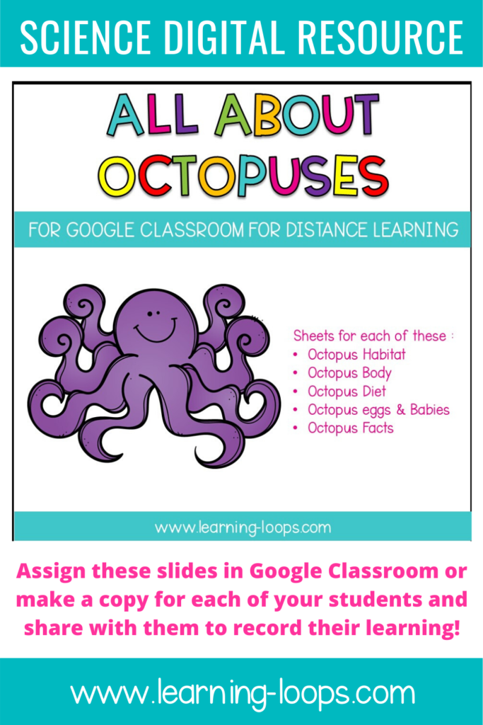 All About Octopus Digital Resource