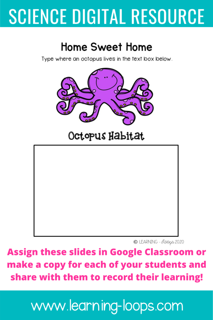 Octopus digital resource