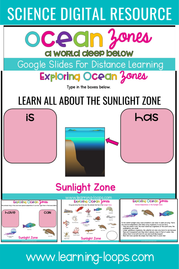 Sunlight zone digital resource