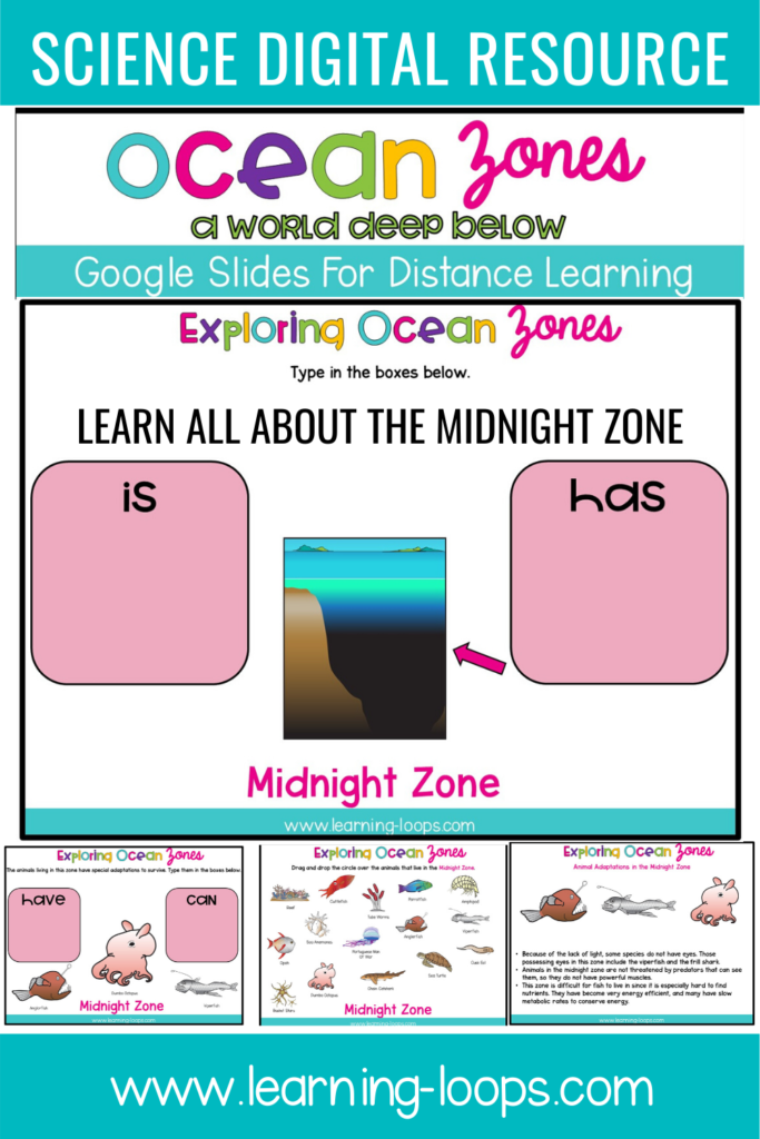 Midnight zone digital resource
