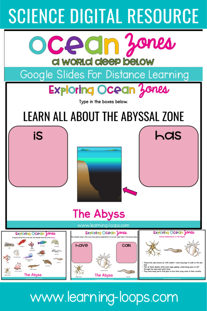 Ocean Zones for elementary