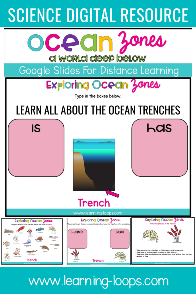 ocean zones for primary grades